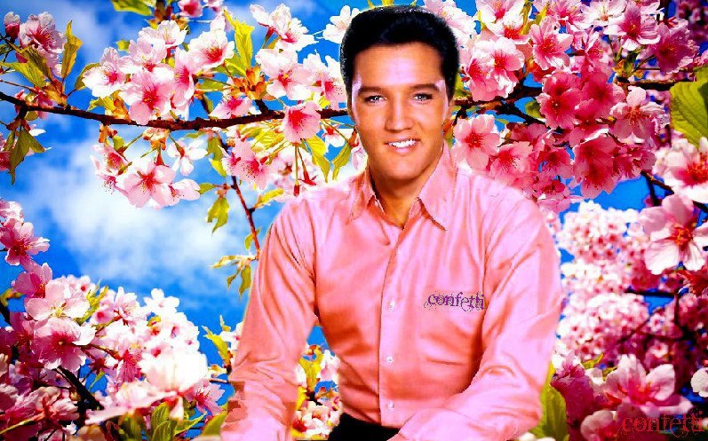 In The Garden With Elvis Blue Star Love From An Amazing Heart